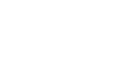 ECOCARAT HISTORY since 1999